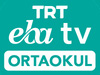 TRT EBA TV Ortaokul live TV