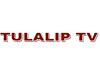 Tulalip TV live TV