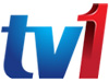 RTM 1 live TV